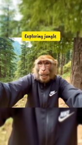 Ai MONKEY VLOGS Video Genrator Free in Online
